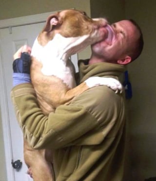 Illustration de l'article : 17 photos prouvant que les chiens incarnent l'amour avec un grand A