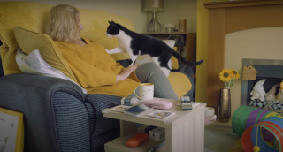Illustration de l'article : Le rôle crucial d'un chat dans la vie de sa maîtresse malentendante lui vaut une prestigieuse récompense