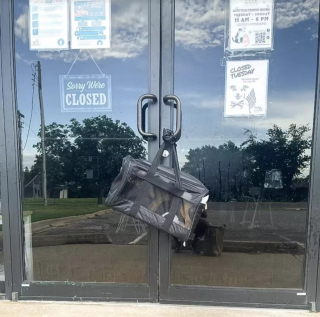 Illustration de l'article : Le destin touchant d'un chien découvert dans un sac accroché à une poignée de porte