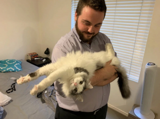 Illustration de l'article : 19 photos capturant la magie féline et le lien unique existant entre chats et humains