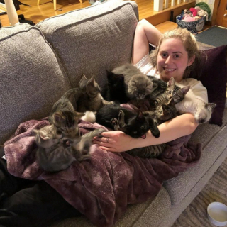Illustration de l'article : 19 photos capturant la magie féline et le lien unique existant entre chats et humains