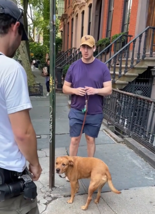 Illustration de l'article : L’histoire émouvante de Lunchbox, un chien au passé douloureux, mais qui n’a jamais cessé d’aimer les gens (vidéo)