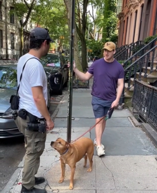Illustration de l'article : L’histoire émouvante de Lunchbox, un chien au passé douloureux, mais qui n’a jamais cessé d’aimer les gens (vidéo)