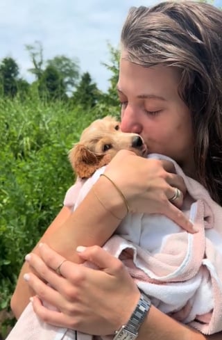 Illustration de l'article : La vidéo adorable d’un chiot Teckel qui apprend à nager a fait fondre le cœur des internautes 
