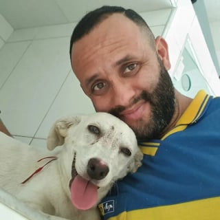 Illustration de l'article : 20 nouveaux selfies canins partagés par Antunes, facteur créant des liens uniques avec les chiens