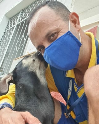 Illustration de l'article : 20 nouveaux selfies canins partagés par Antunes, facteur créant des liens uniques avec les chiens