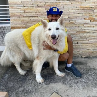 Illustration de l'article : 20 nouveaux selfies canins partagés par Antunes, facteur créant des liens uniques avec les chiens