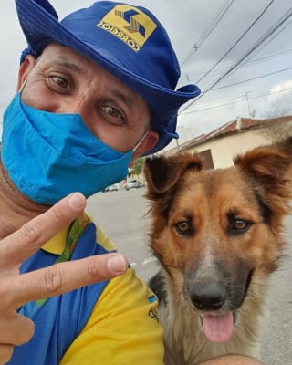 Illustration de l'article : 20 nouveaux selfies canins partagés par Antunes, facteur créant des liens uniques avec les chiens