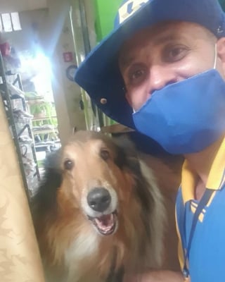 Illustration de l'article : 20 nouveaux selfies canins partagés par Antunes, facteur créant des liens uniques avec les chiens