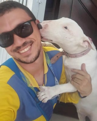 Illustration de l'article : 20 nouveaux selfies canins partagés par Antunes, facteur créant des liens uniques avec les chiens