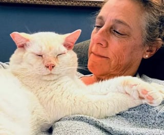 Illustration de l'article : Un chat errant devient le roi des câlins après avoir frappé à la bonne porte
