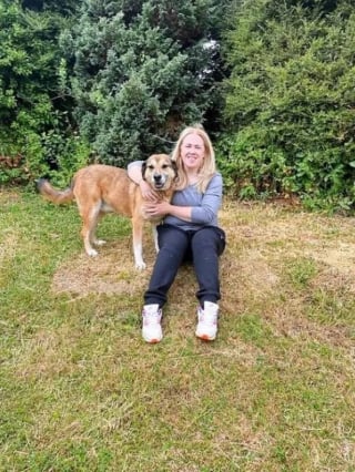 Illustration de l'article : Un chien au cœur brisé attend l'arrivée de la famille de ses rêves depuis près de 8 ans