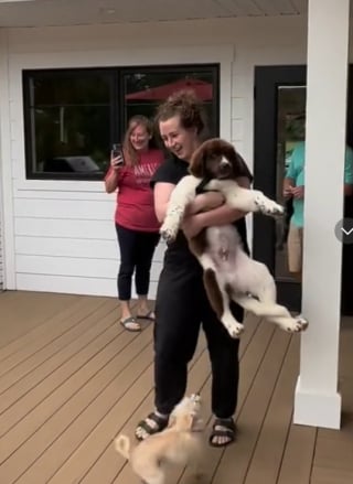 Illustration de l'article : Cet homme est ému aux larmes lors de la fête des Pères, quelques mois après le décès de son chien (vidéo)