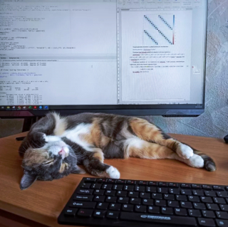 Illustration de l'article : 13 photos hilarantes de chats ultra paresseux, ou quand l'art de ne rien faire atteint son apogée