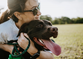 Illustration de l'article : Grâce à cet implant contraceptif, il est possible de stériliser son chien sans chirurgie et de manière temporaire