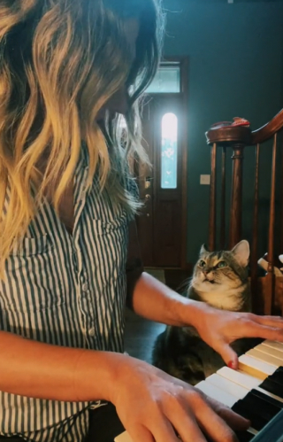 Illustration de l'article : La vidéo de ce chat qui regarde amoureusement sa maîtresse pendant qu’elle joue du piano est adorable 