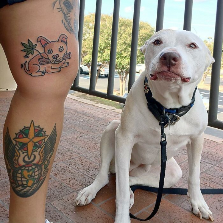 https://www.woopets.fr/assets/ckeditor/2023/mar/actualities/21795/xl/xx-animaux-de-compagnie-apparaissant-dans-des-tatouages-uniques-en-leur-genre-4762d72e9.jpg
