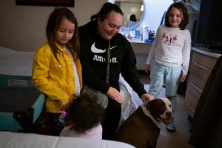 Illustration de l'article : Un chien salué en héros pour être resté aux côtés du bébé de ses maîtres pendant un incendie