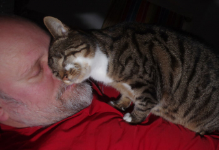 Illustration de l'article : Un couple adopte une chatte atteinte de cécité, et raconte le fabuleux quotidien qu’il partage à ses côtés
