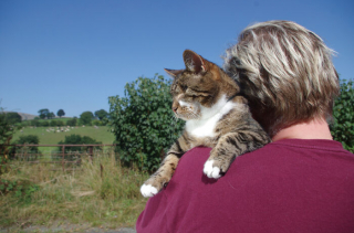 Illustration de l'article : Un couple adopte une chatte atteinte de cécité, et raconte le fabuleux quotidien qu’il partage à ses côtés