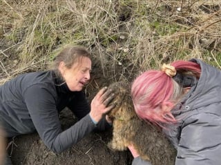 Illustration de l'article : Elle craint le pire pour son chien enseveli sous la terre, jusqu'à l'arrivée d'une bénévole et de son héros à 4 pattes