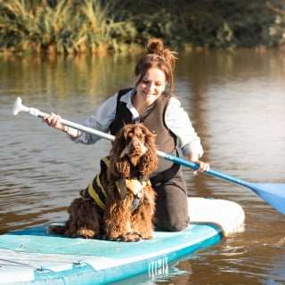Illustration de l'article : La billetterie du Woofest, rendez-vous incontournable des amoureux de sports canins, est enfin ouverte ! 