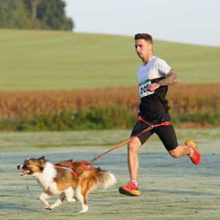 Illustration de l'article : La billetterie du Woofest, rendez-vous incontournable des amoureux de sports canins, est enfin ouverte ! 