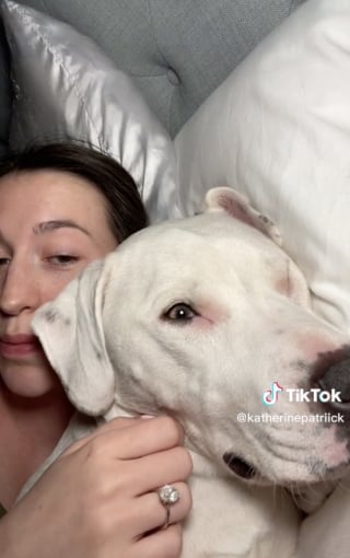Illustration de l'article : Cette chienne a trouvé une technique efficace pour ne plus quitter le lit de sa maîtresse (vidéo) 