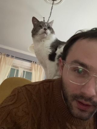 Illustration de l'article : Issu d’une colonie de félins, un chat se métamorphose lorsqu’il découvre la joie de devenir le centre de l’attention 
