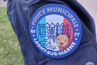 Illustration de l'article : Autrefois négligée par un dealer, une chienne prend une revanche sur la vie en se spécialisant dans la détection de stupéfiants