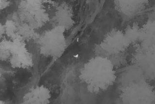 Illustration de l'article : A la recherche de leur chien perdu en montagne, ils reçoivent l'aide décisive de bénévoles équipés d'un drone