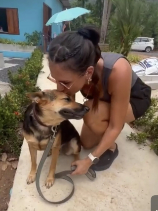 Illustration de l'article : Victime d’une cruauté sans nom, une chienne terrifiée par l’être humain tente de retrouver goût à la vie (vidéo) 