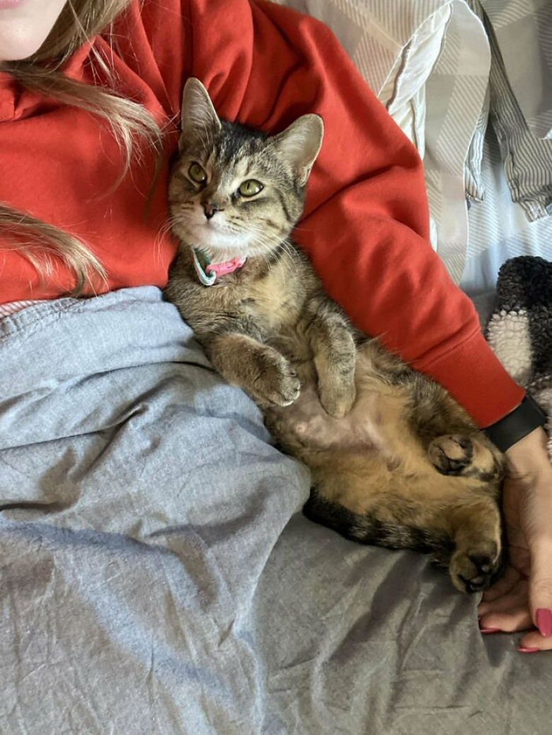 https://www.woopets.fr/assets/ckeditor/2023/may/actualities/23541/xl/xx-photos-de-chats-et-de-chiens-que-l-adoption-a-sauves-et-transformes-3e4067d74.jpg