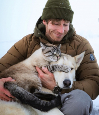 Illustration de l'article : Deuil et amitié : un chiot redonne vie à Baloo, le chat éploré par la disparition de son ami Henry