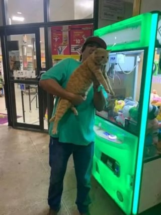 Illustration de l'article : Un homme jouant sur une machine à pince gagne une "peluche" à laquelle il ne s’attendait pas (vidéo)