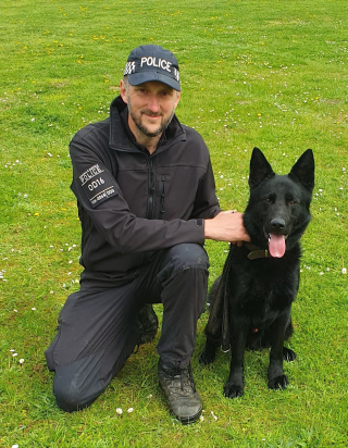 Illustration de l'article : Un chiot sauvé lors d'une descente de police devient un super chien détective