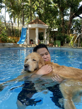 Illustration de l'article : 19 photos de chiens séniors partageant leur sagesse et leur joie de vivre