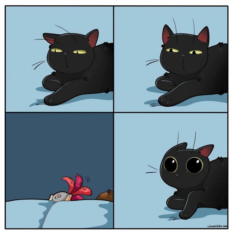 https://www.woopets.fr/assets/ckeditor/2023/may/actualities/23913/xl/xx-illustrations-amusantes-qui-racontent-le-quotidien-de-tout-proprietaire-de-chat-4a245fceb.jpg