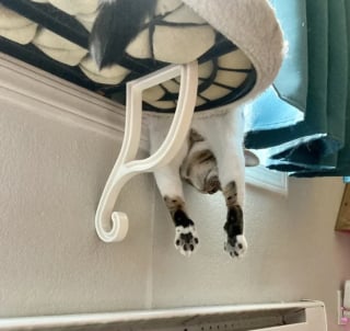 Illustration de l'article : 15 photos illustrant à merveille le pouvoir du rire et de l'émotion que possèdent nos animaux
