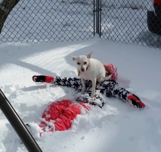 Illustration de l'article : 15 photos illustrant à merveille le pouvoir du rire et de l'émotion que possèdent nos animaux