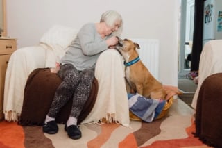 Illustration de l'article : Séparé de son maître à l'âge de 9 ans, ce chien attend une nouvelle famille depuis 500 jours