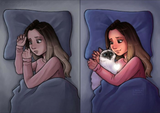 Illustration de l'article : 20 illustrations d'une artiste racontant les aventures drôles et touchantes de son chat