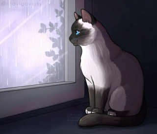 Illustration de l'article : 20 illustrations d'une artiste racontant les aventures drôles et touchantes de son chat