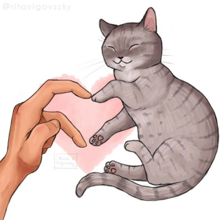 Illustration de l'article : 20 illustrations d'une artiste racontant les aventures drôles et touchantes de son chat