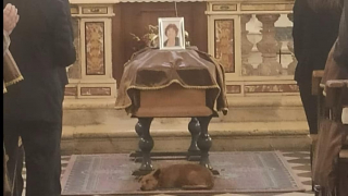 Illustration de l'article : L'amour inconditionnel de Bobby, chien fidèle à sa maîtresse jusqu'à son dernier adieu