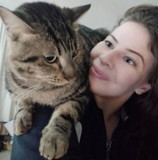 Illustration de l'article : Un chat recueilli à l'étranger fait vivre l'angoisse à son adoptante en s'échappant de l'avion