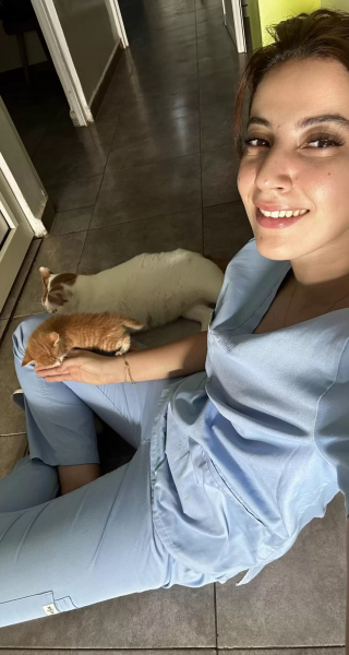 Illustration de l'article : Rico, le chat sauvé de la rue devenu source de réconfort pour les patients d'une clinique vétérinaire