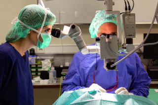 Illustration de l'article : Comment les progrès technologiques améliorent-ils la santé des animaux de compagnie ? Le point de vue du Dr Bouhanna, expert en ophtalmologie vétérinaire