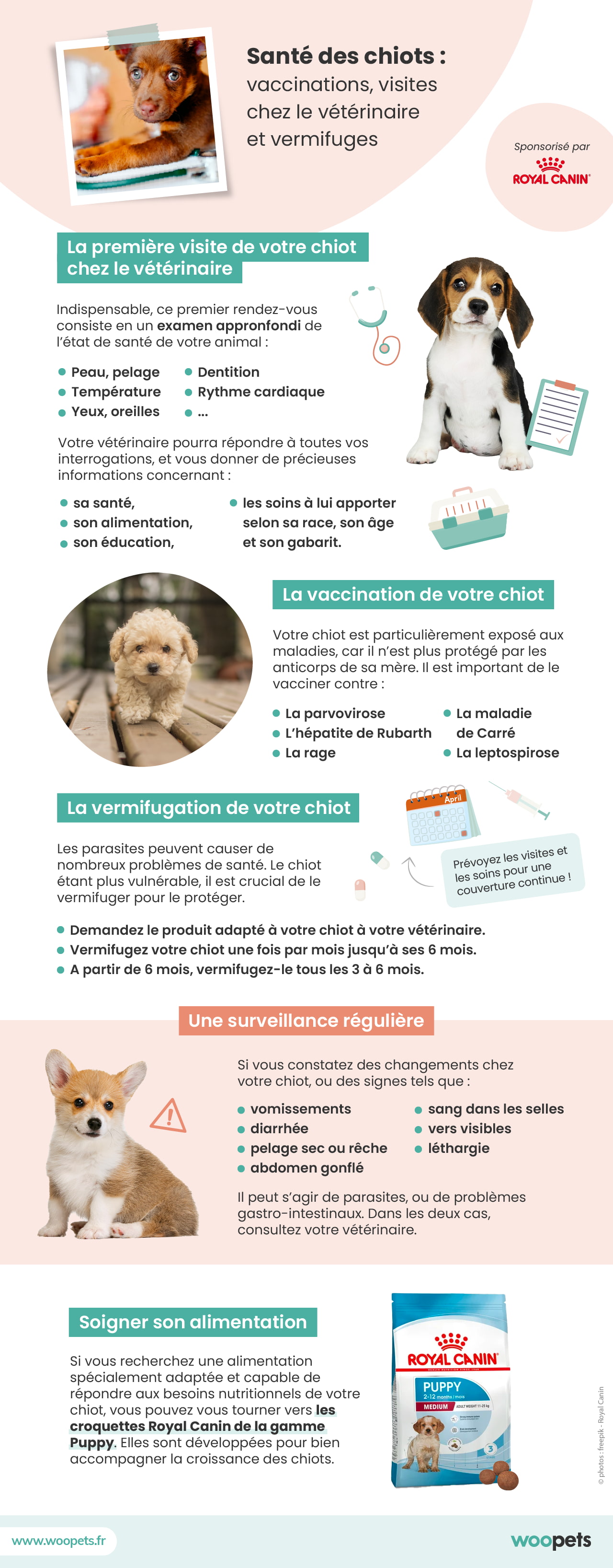 Illustration de l'article : Santé des chiots : vaccinations, vermifuges et visites chez le vétérinaire