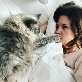 Illustration de l'article : Une chatte séniore enchaîne les déceptions avant d’avoir enfin droit à sa belle histoire (vidéo)